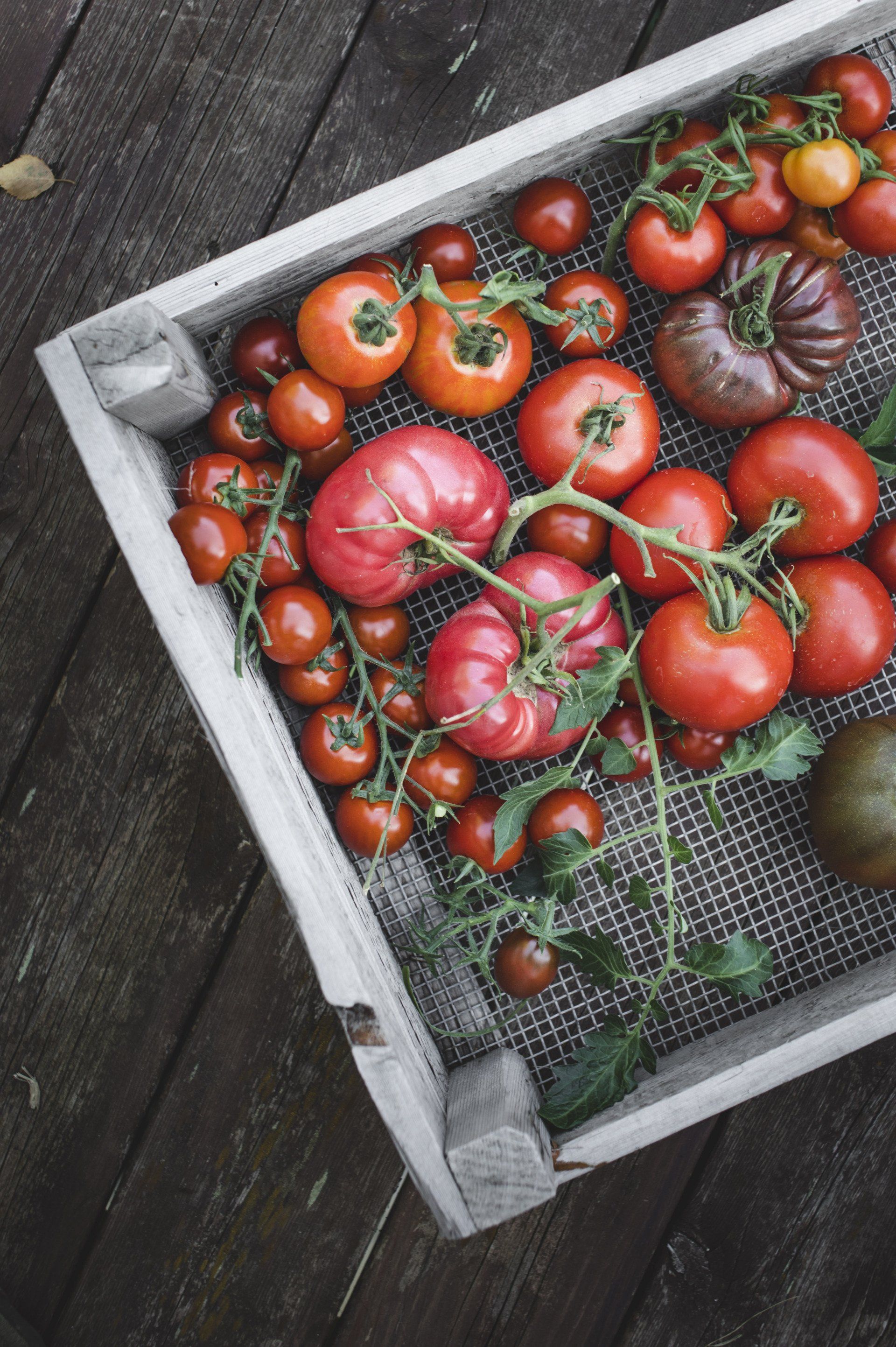 a wooden crate filled with different types of tomatoes on a wooden table .