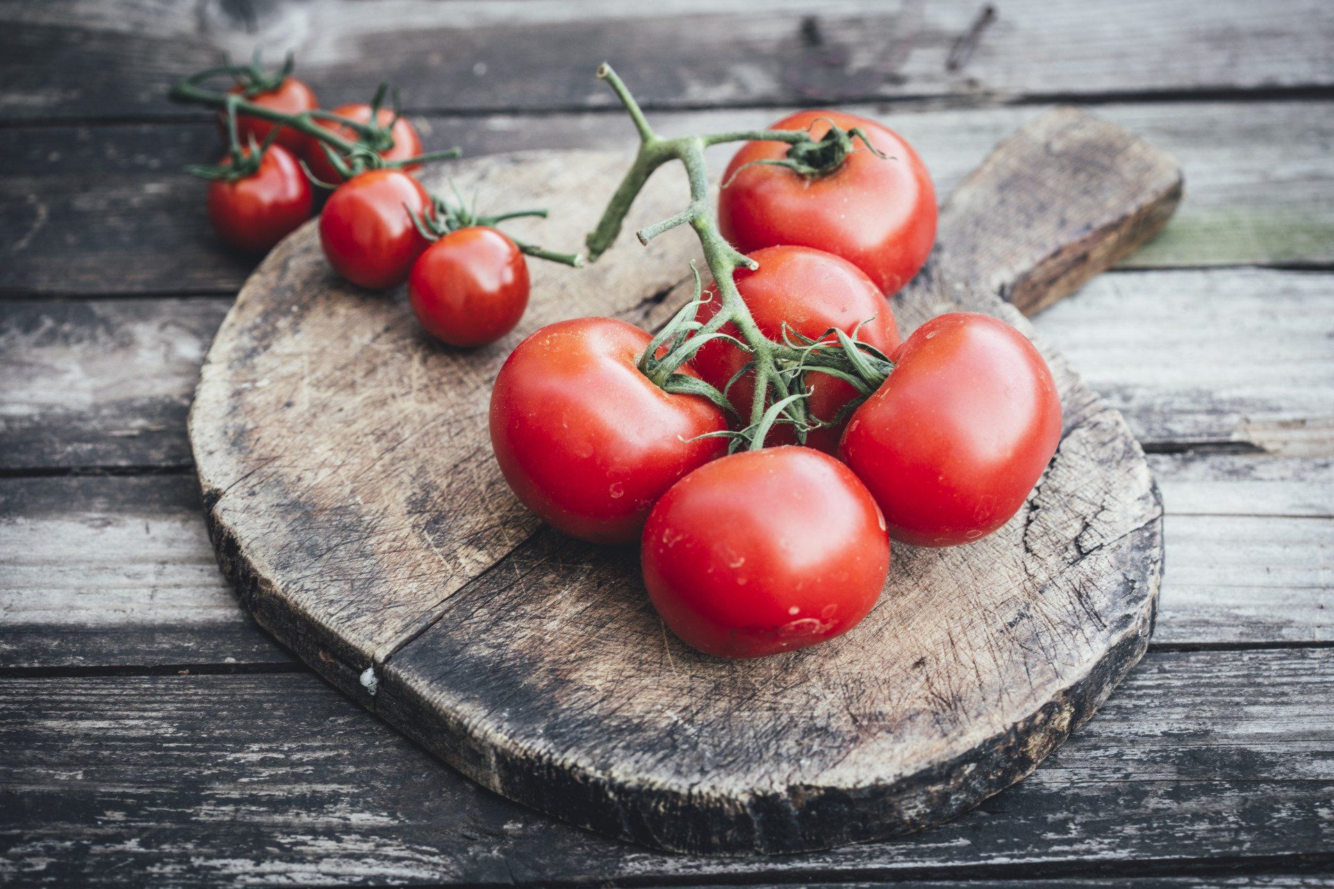 a bunch of tomatoes are sitting on a wooden cutting board .