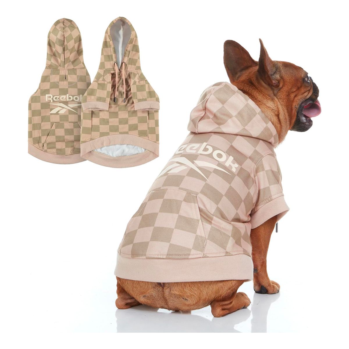 A small brown dog wearing a reebok hoodie