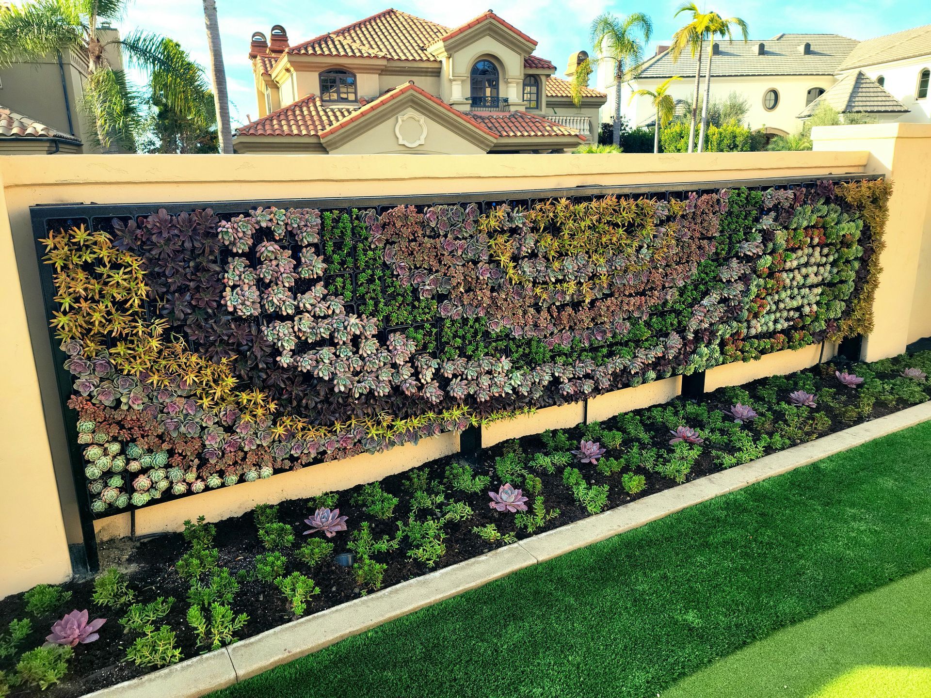 Living wall with diverse succulents in front of a beige wall and manicured green lawn.