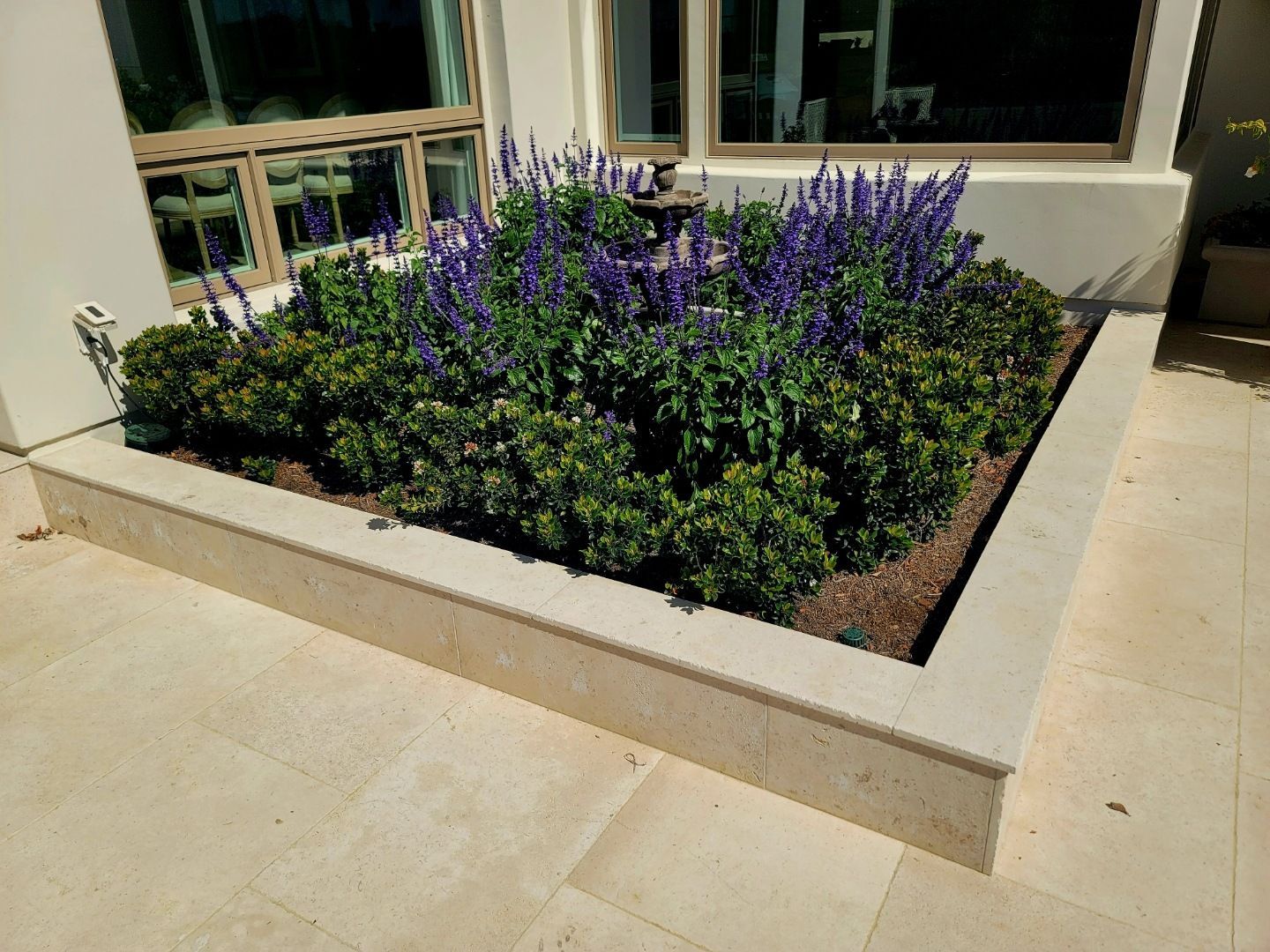 Square stone planter with green bushes and purple flowers, next to building with large windows.