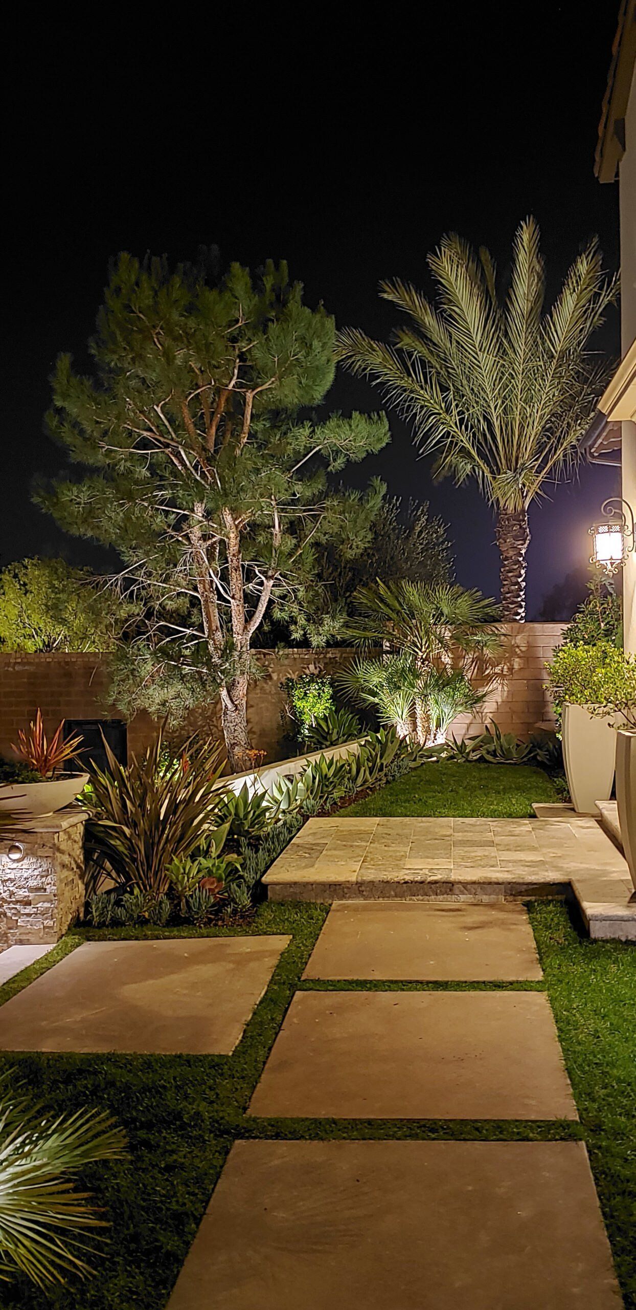 Nighttime garden with illuminated trees, stone path, and greenery.