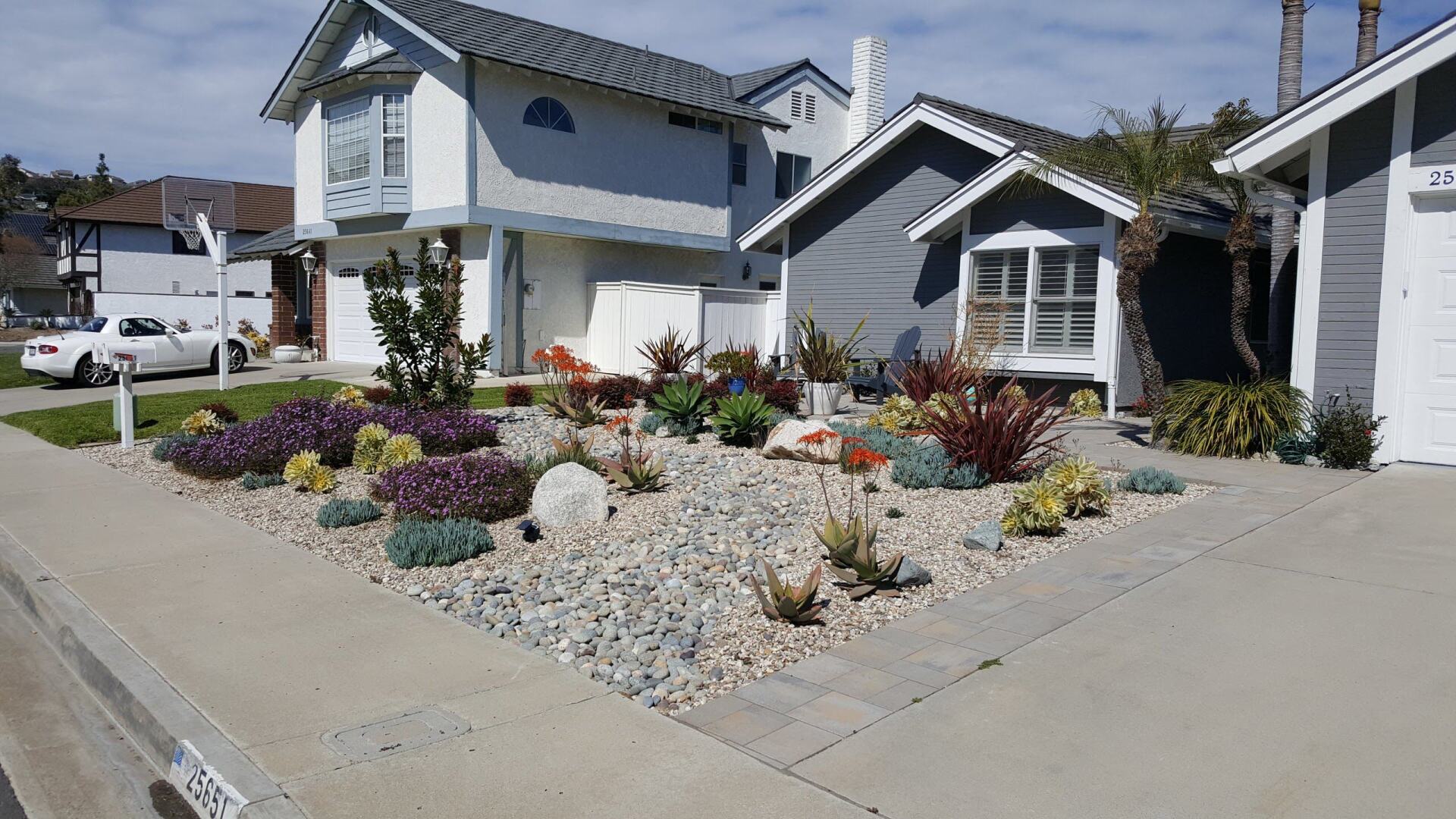 Houses with drought-tolerant landscaping: succulents, rocks, gravel. Blue sky. Sidewalk in front.