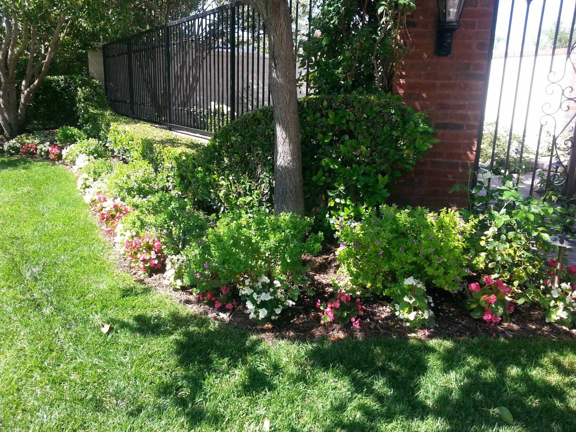 Lush green garden bed with red, pink, and white flowers, next to a brick pillar and black metal fence.