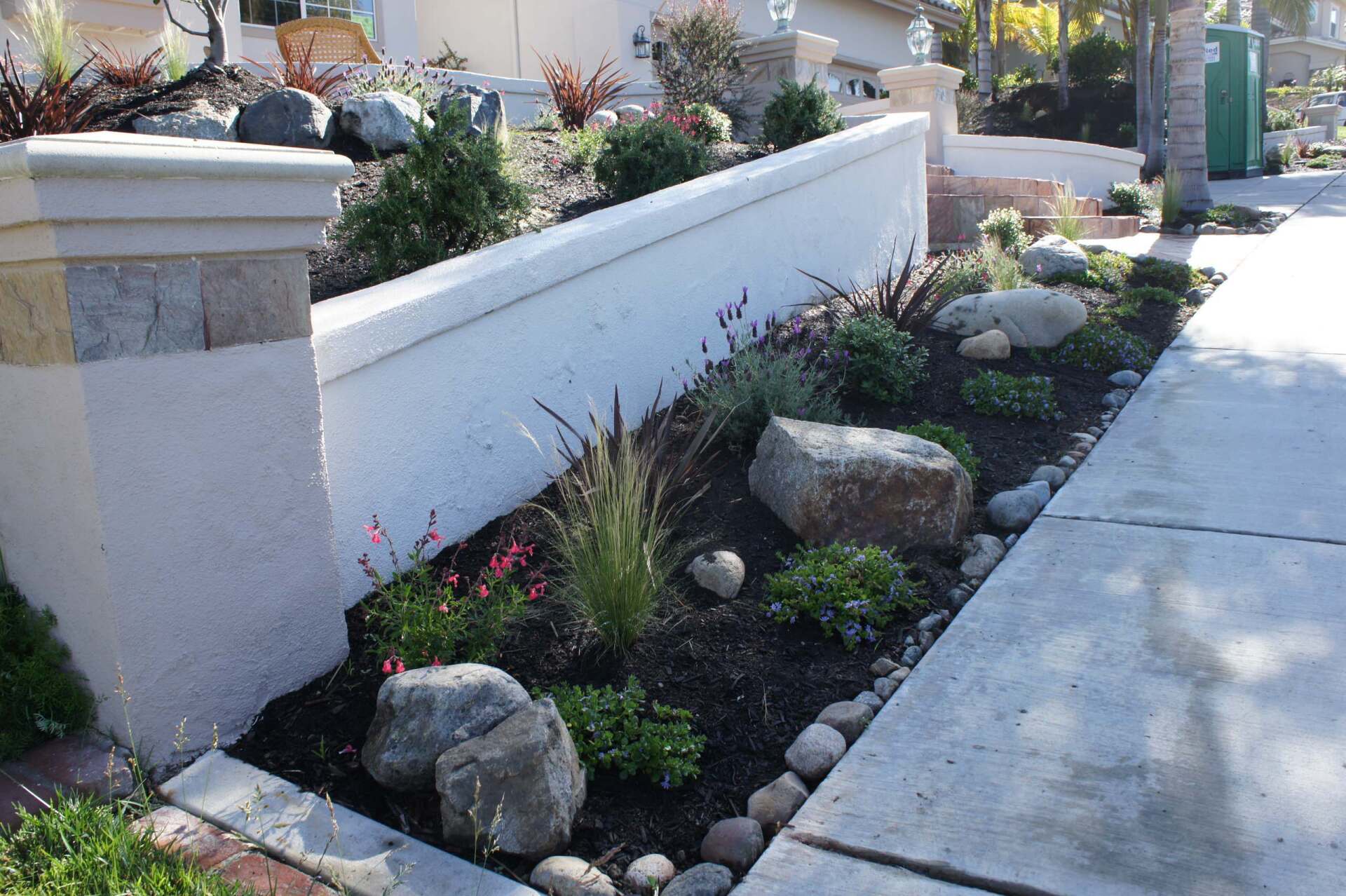A landscaped garden bed with a white retaining wall, rocks, and various plants alongside a sidewalk.