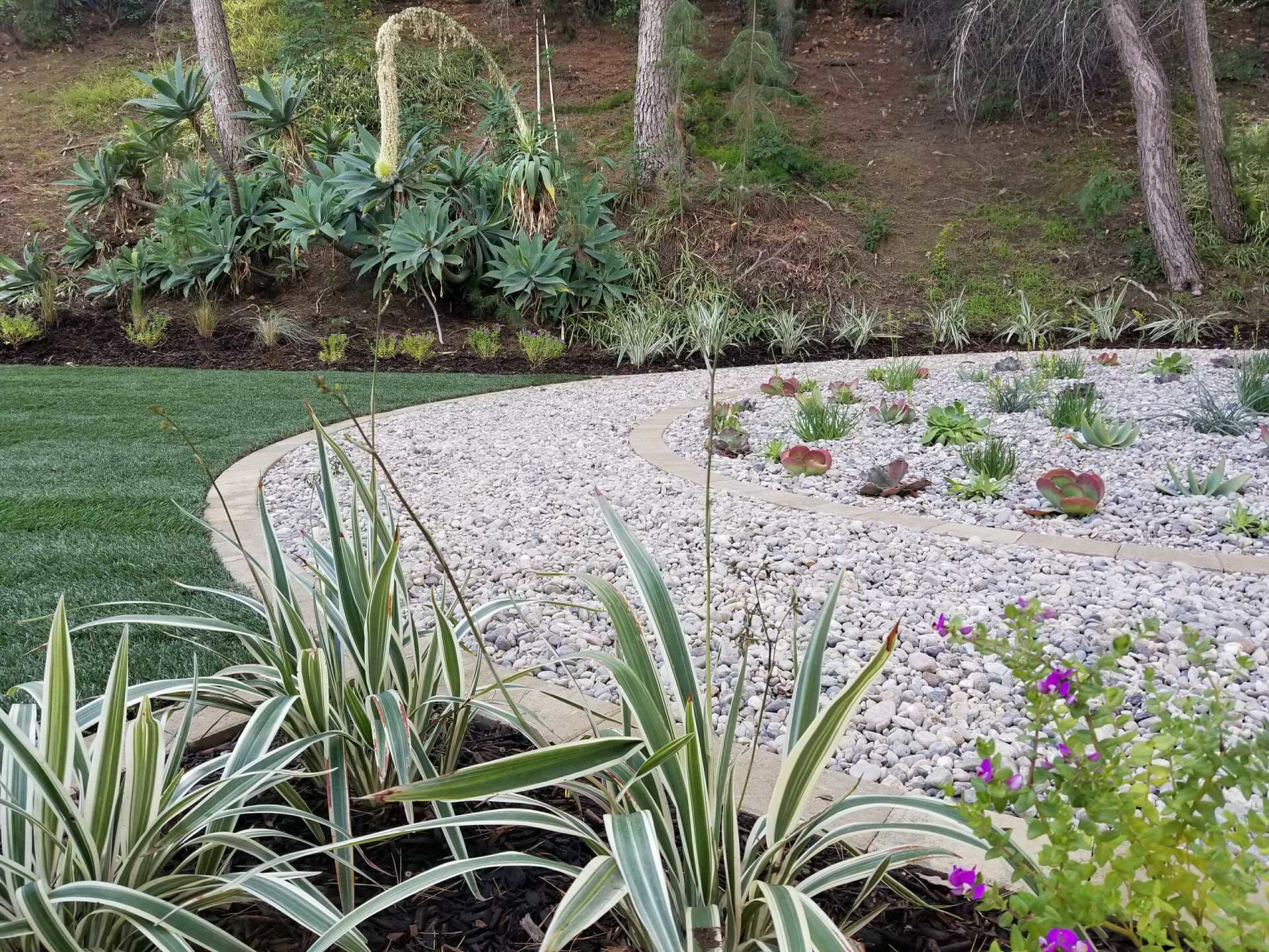Landscape with a curved gravel bed, a green lawn, and various plants in an outdoor setting.