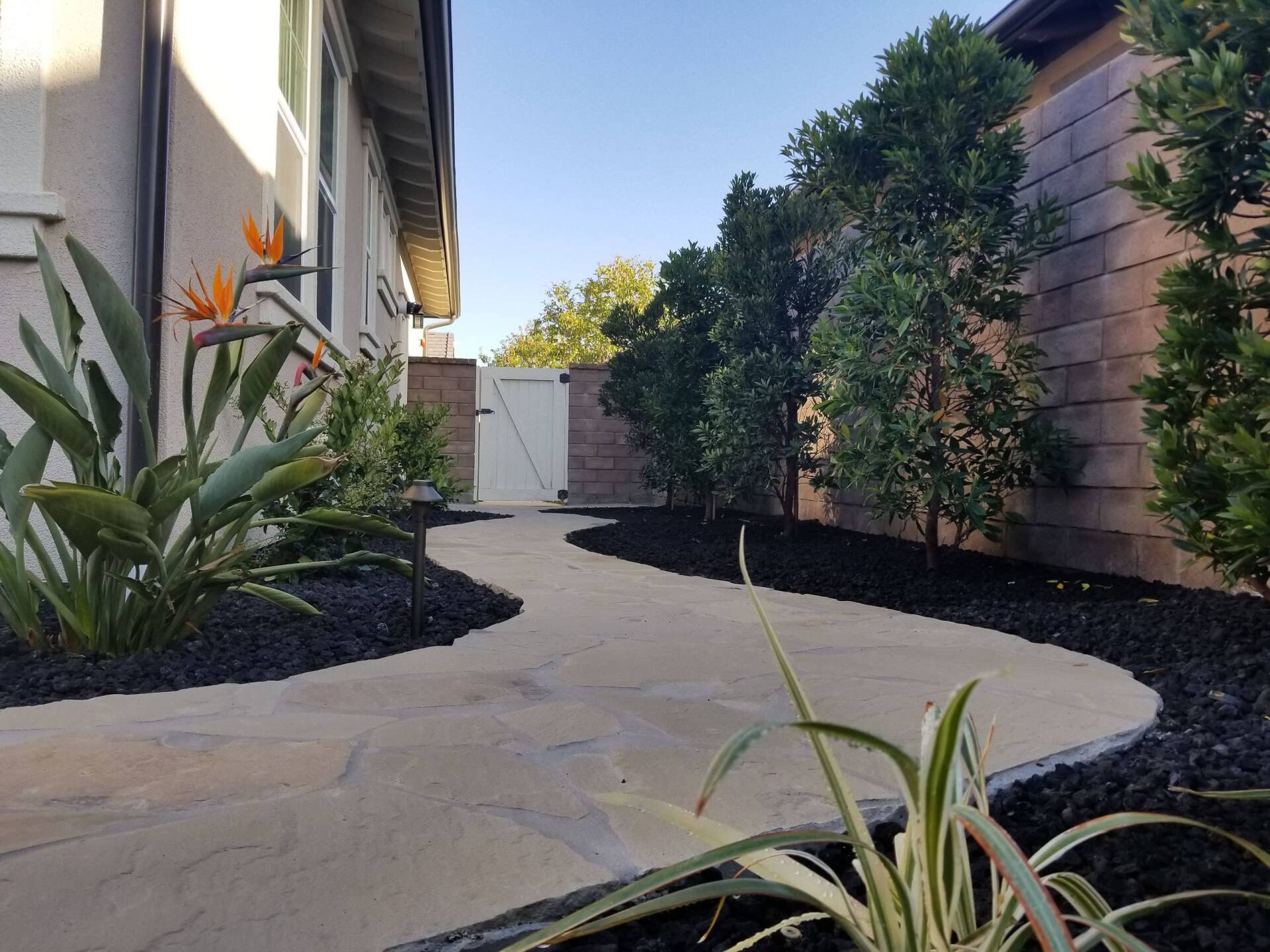 Stone pathway curves between house and hedge, lined with black mulch and plants.