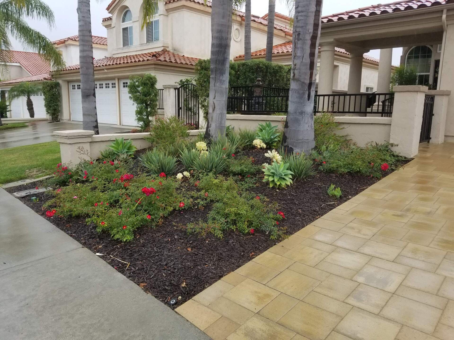 Flower bed with various plants, including red blooms, next to a sidewalk and a house.