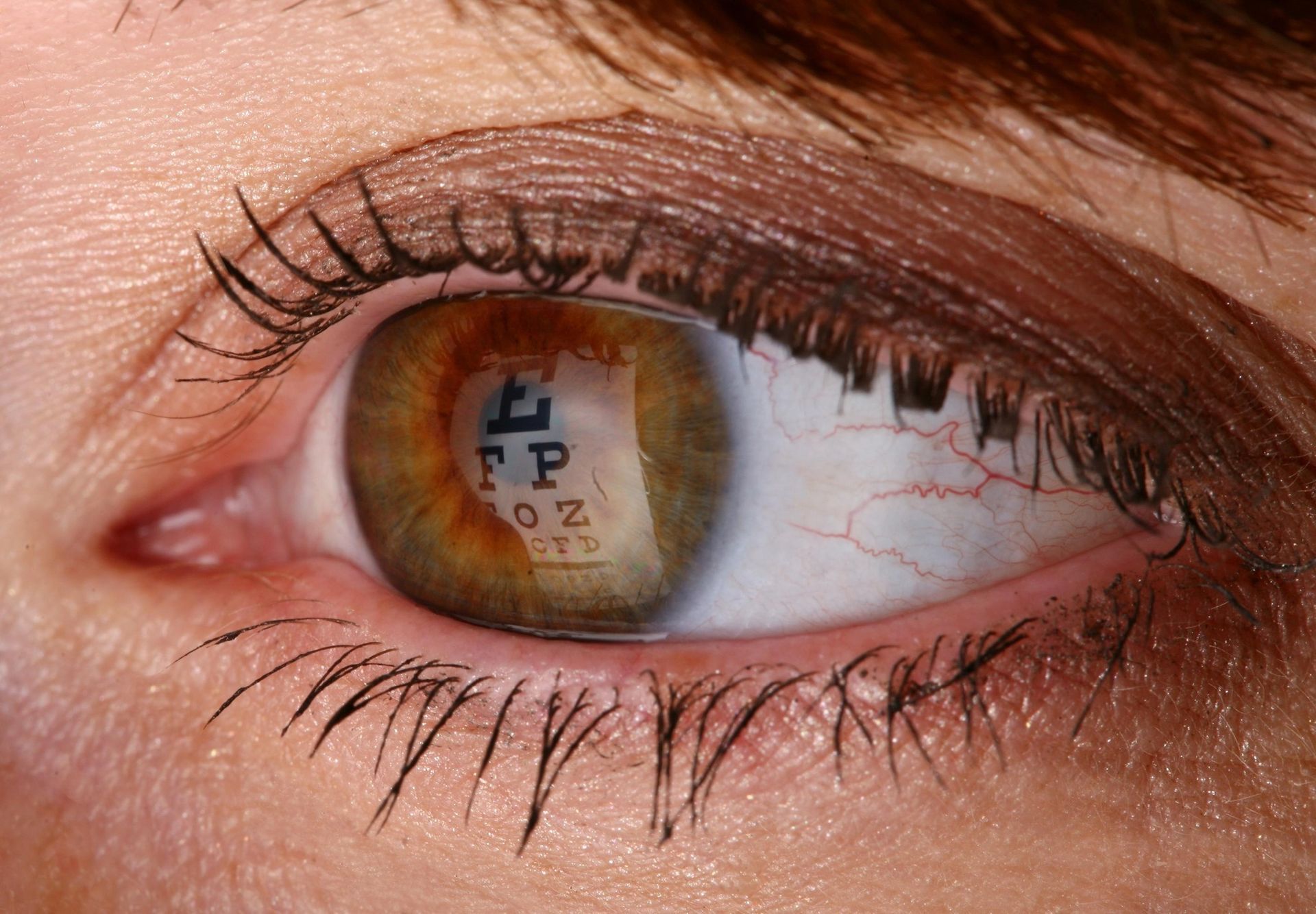 A Close-up of an Eye Reflecting an Eye Chart — Peninsula Eyecare Izzards Optometrists in Kincumber, NSW