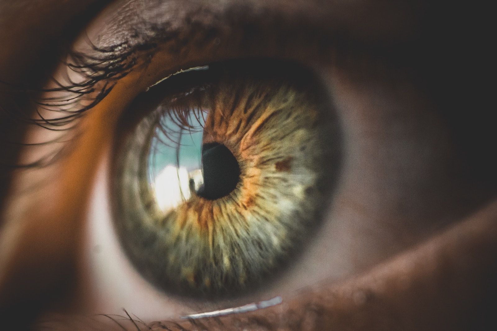 Close-up of a Hazel Eye With a Blue-green Reflection — Peninsula Eyecare Izzards Optometrists in Woy Woy, NSW