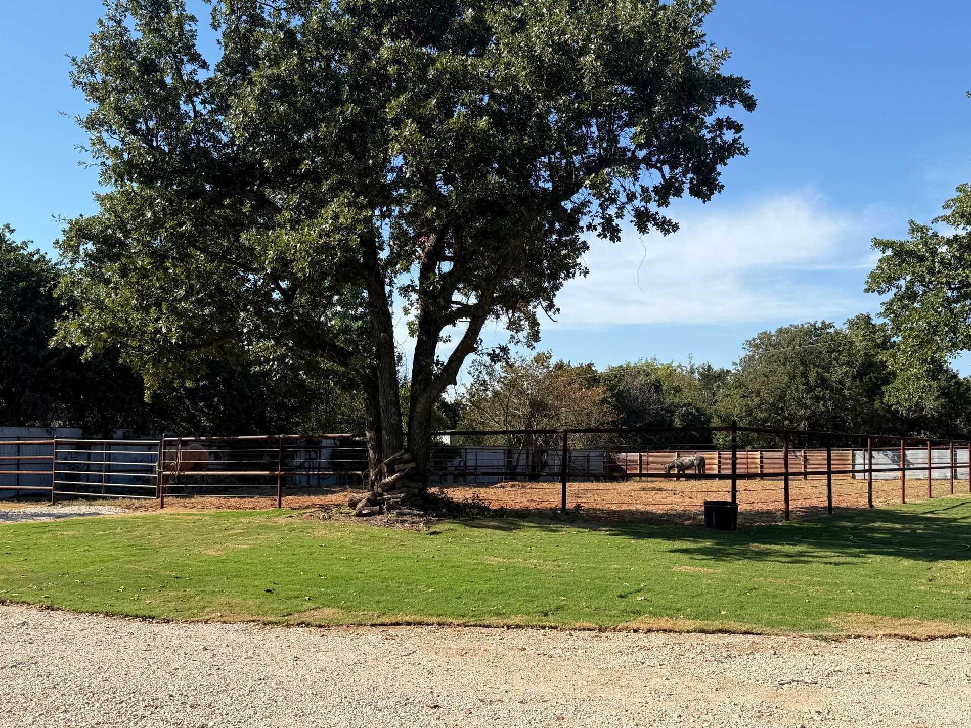 A gravel path leads to a fenced-in riding arena under a partly cloudy sky.