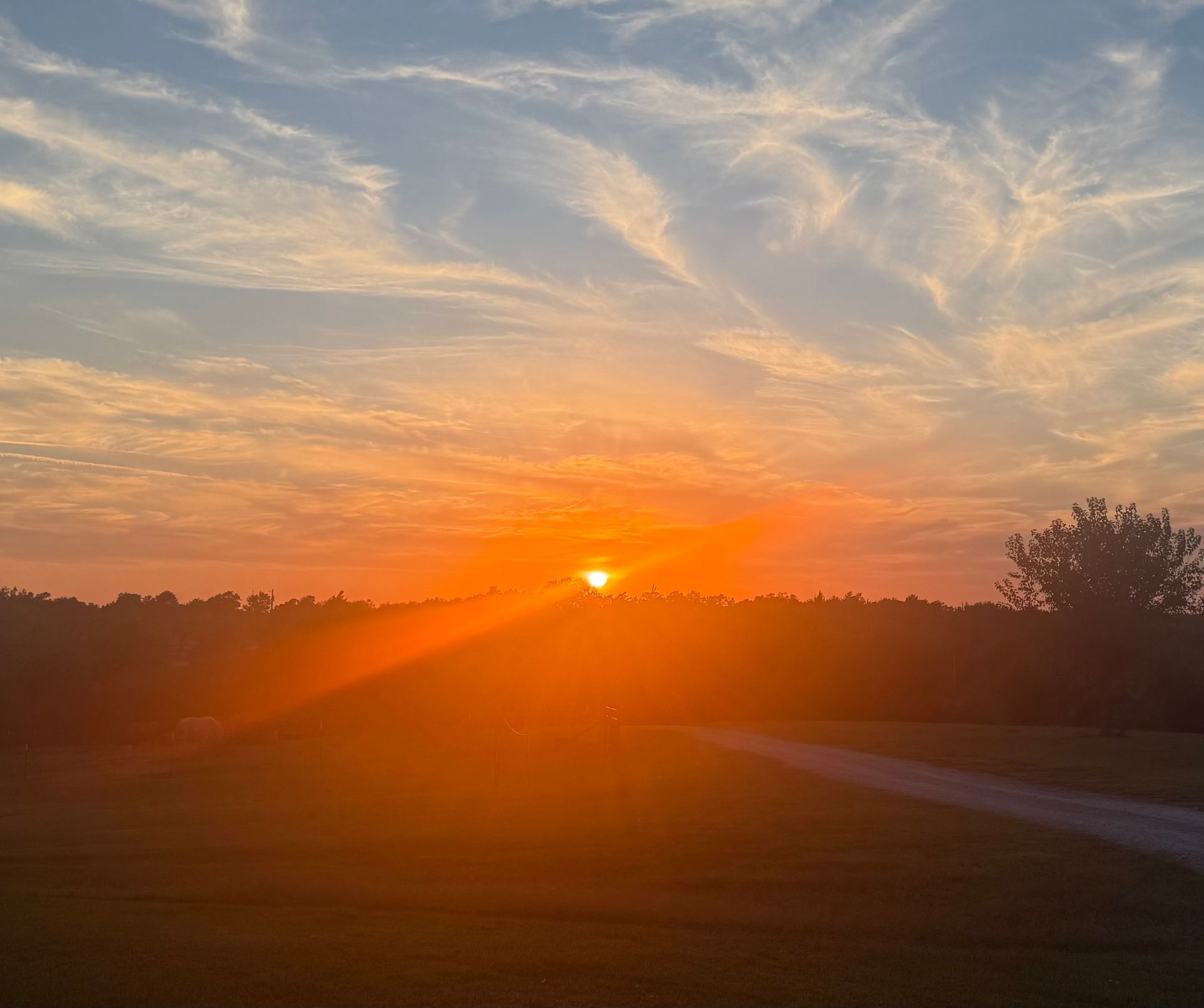 Two horses, dappled and brown, with riders, looking at a sunrise over a field.