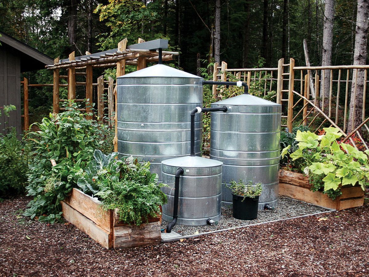 Storing rainwater in the backyard