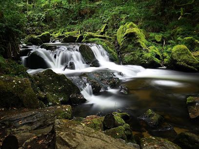 Rushing water cascades over moss-covered rocks in a lush, green forest.