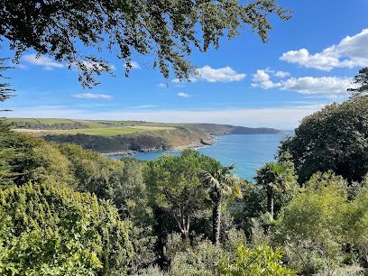 View of the sea and coast from a tree-filled vantage point under a bright blue sky.