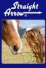Straight Arrow