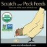 Scratch and Peck
