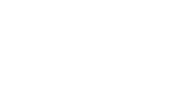  Apex Inspections