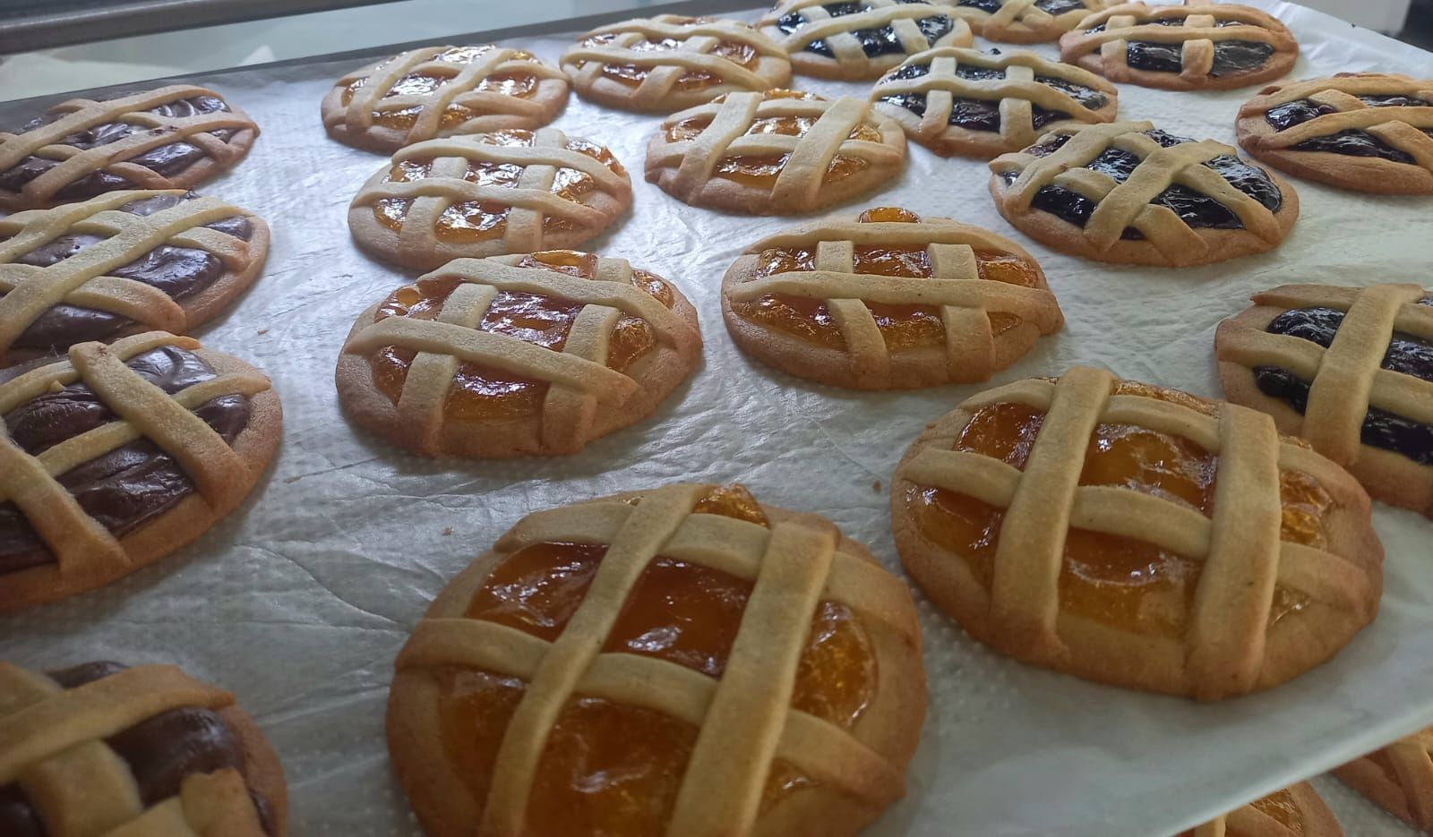 Cavallucci 300 g e 500g