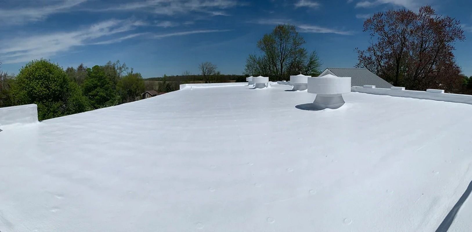 A white roof with trees in the background on a sunny day.