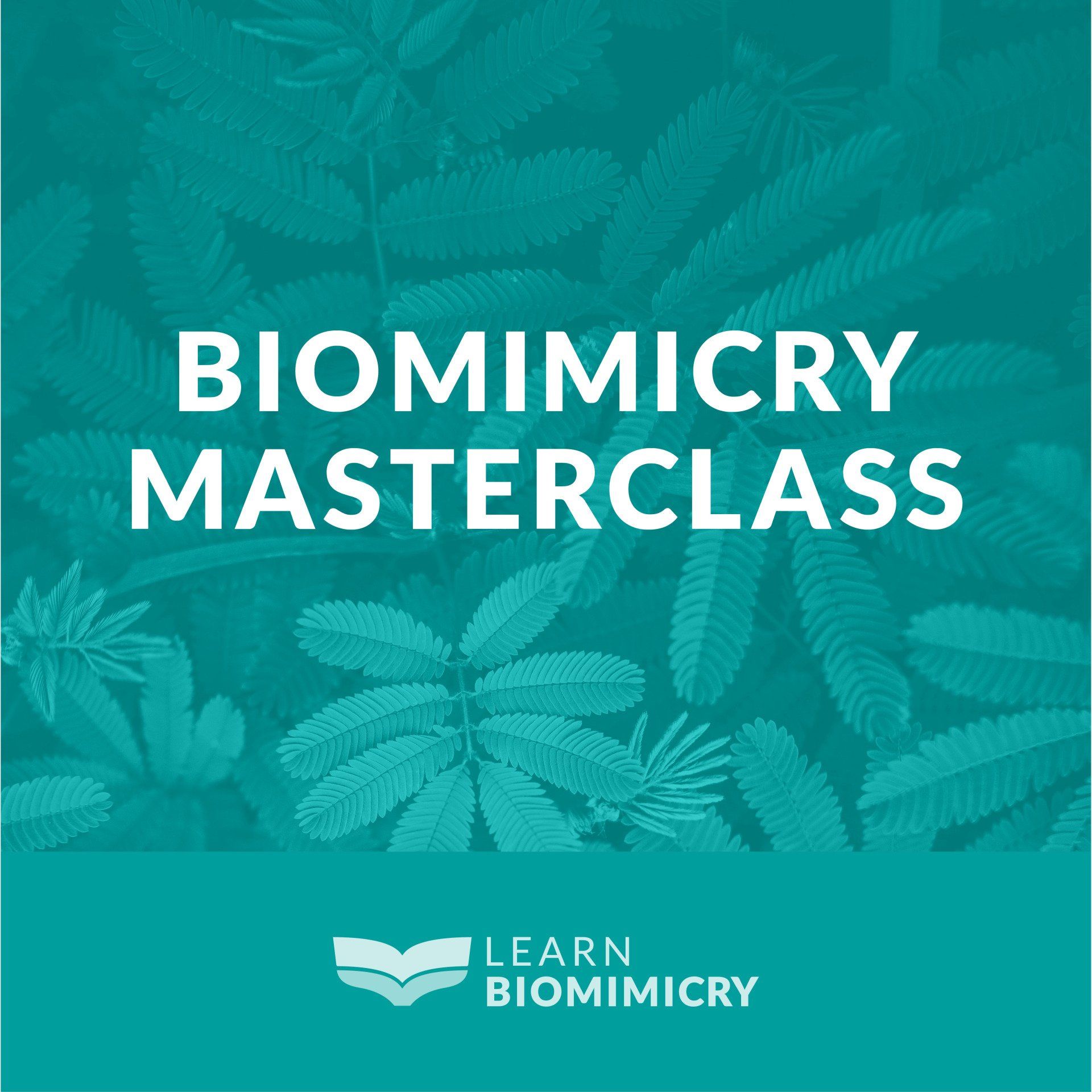 Irá ser redireccionad@ para o site da Learn BIomimicry, parceiro da WellBeing 3.8