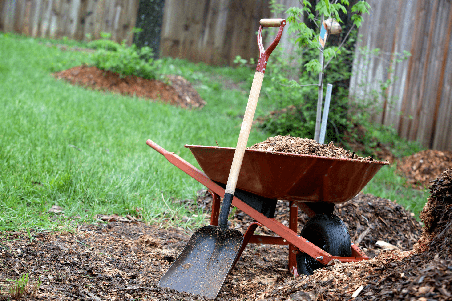 Homeowner Collect Mulch In Wheelbarrow While Performing DIY Landscaping In Richmond Home