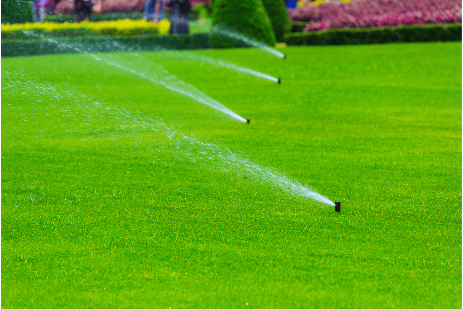 Irrigation System Installed By Landscaper From Richmond Landscapes In The Backyard Of Richmond Home