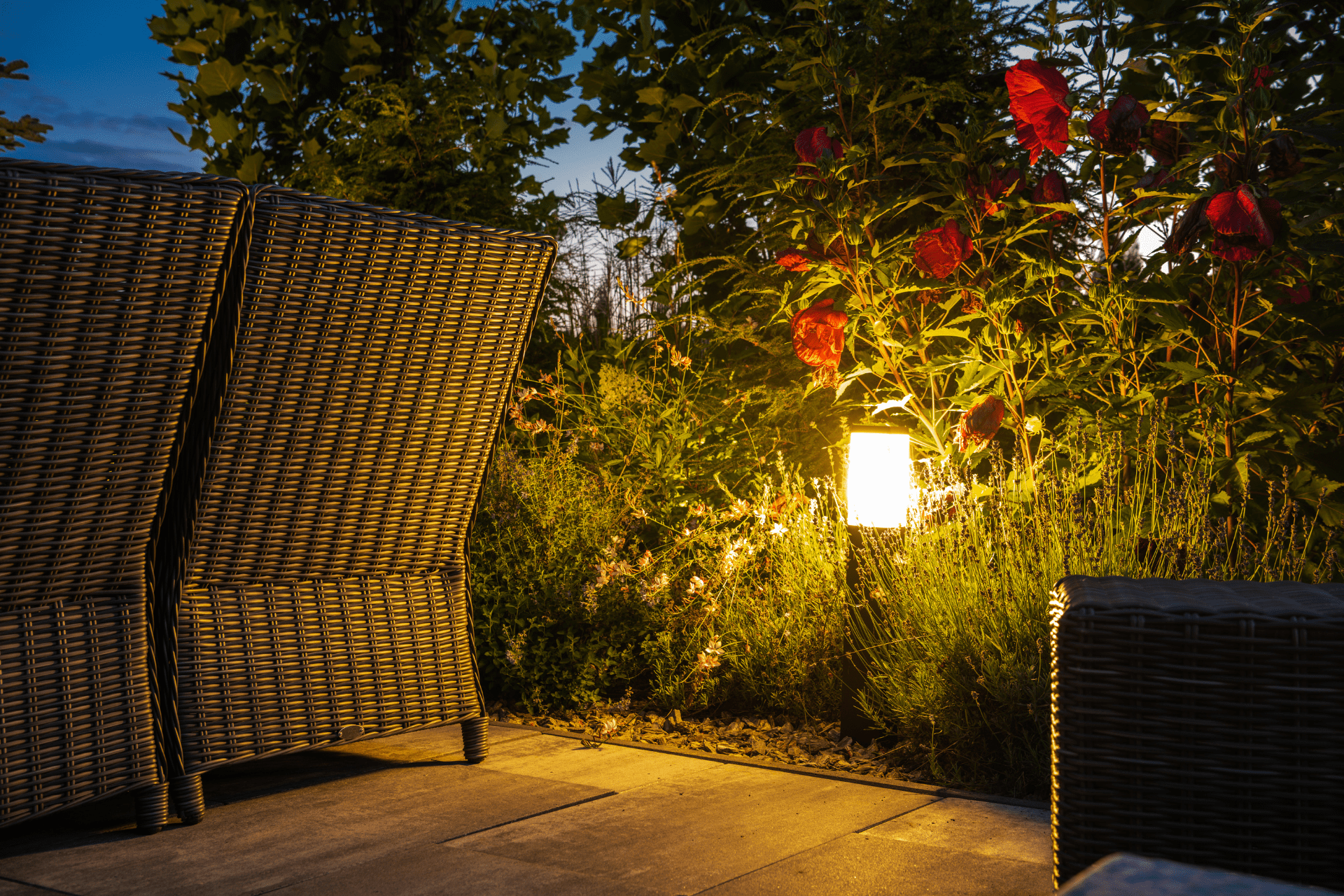 Outdoor Light In The Plants Of Richmond Home Backyard Done By Richmond Landscapes