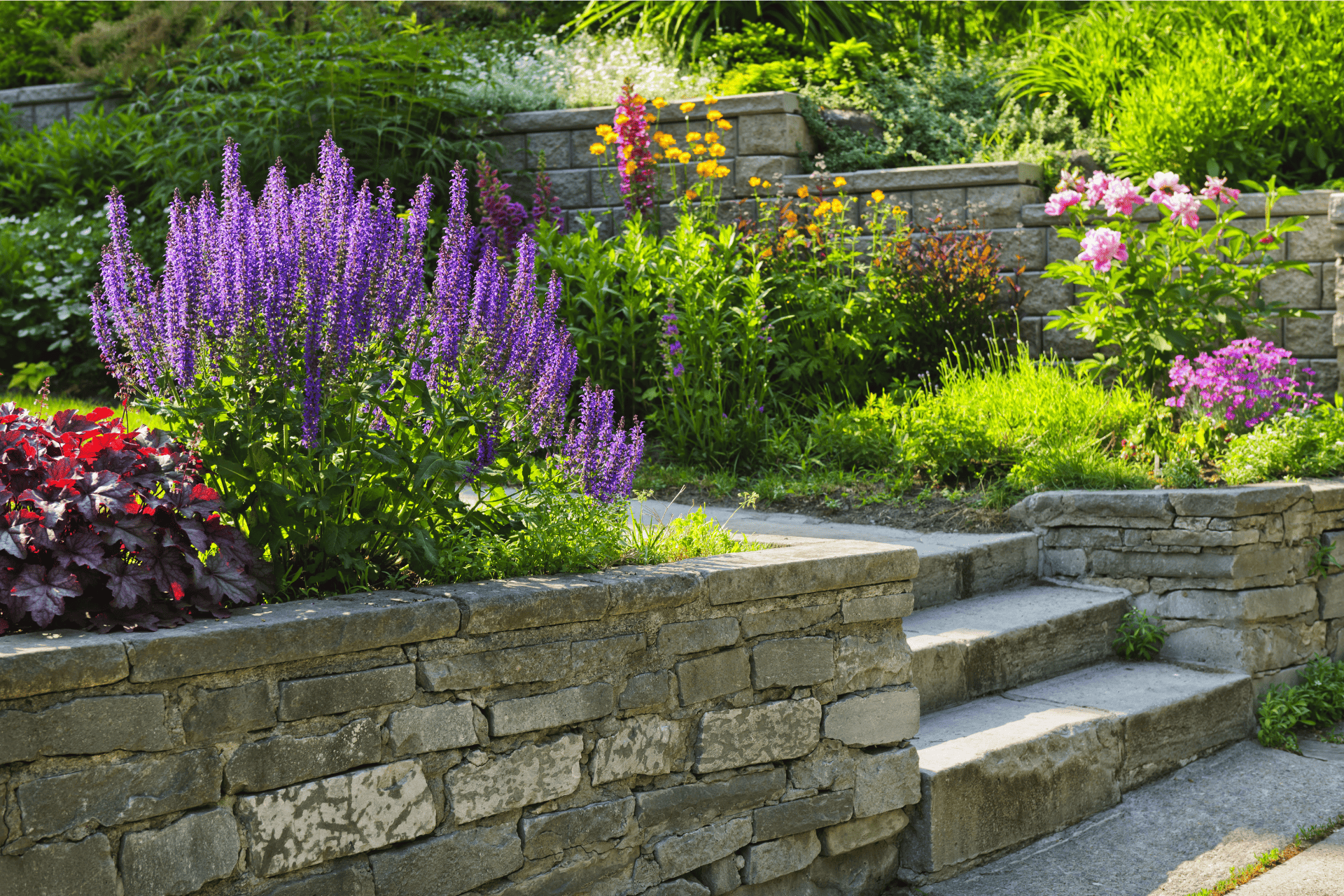 Plants Decoration On The Walkway Outside Of Richmond Home By Richmond landscapes