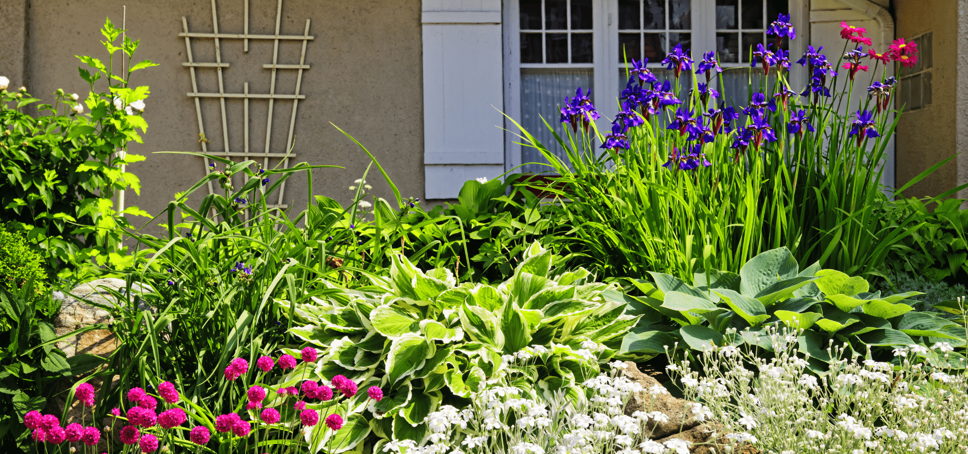 Plants Decorating Outside Of Richmond Home Front Yard By Richmond Landscapes