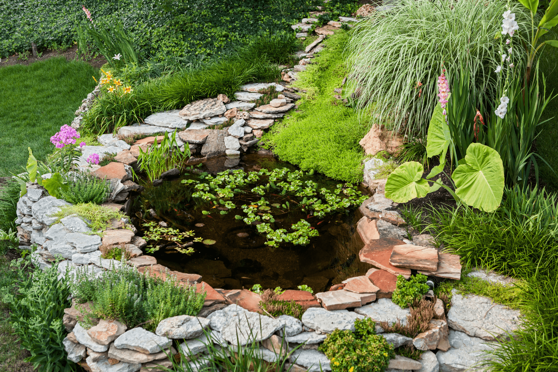 Pond Built By Richmond Landscapes In The Backyard Of Richmond Home