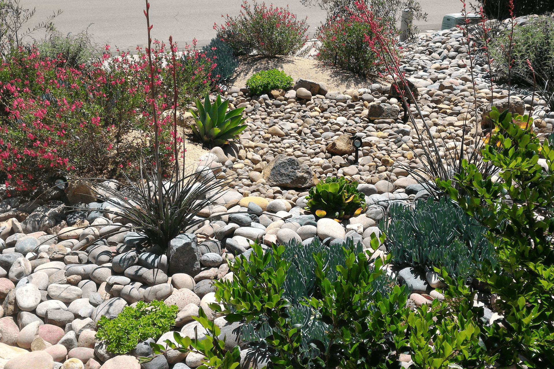 Xeriscape Garden Done By Landscapers From Richmond Landscapes In Richmond Home