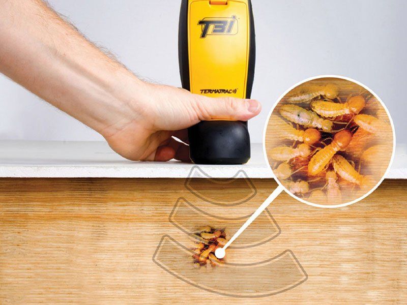 device used for termite inspections