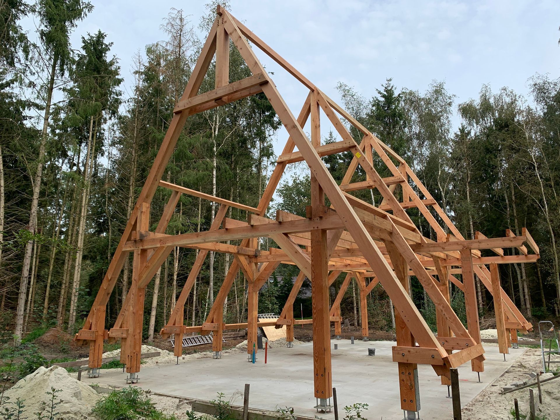 Midden in een bos wordt een houten constructie gebouwd.