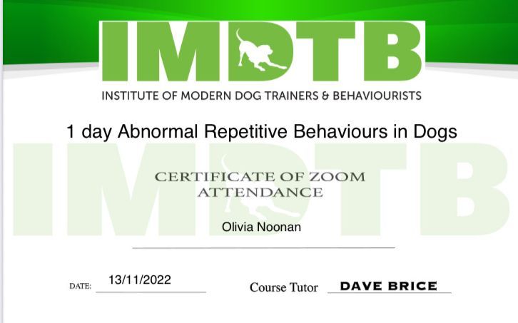 Institute of Modern Dog Trainers and Behaviourists certificate for Abnormal Repetitive Behaviours in Dogs course completed by Muddy Paws Adventures