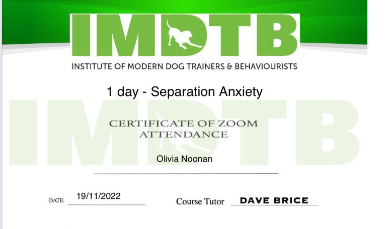 Institute of Modern Trainer and Behaviourists certificate for separation anxiety course completed by Muddy Paws Adventues