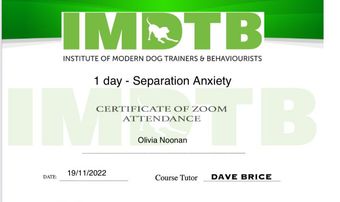 Institute of Modern Trainer and Behaviourists certificate for separation anxiety course completed by Muddy Paws Adventues