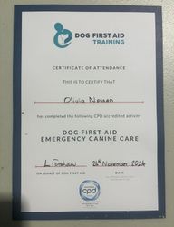 Dog First Aid Training certificate of attending held by Muddy Paws Adventures in Neston