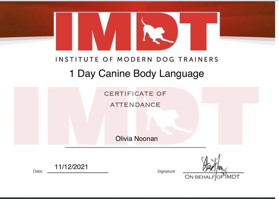 Institute of Modern Dog Trainers certificate for canine body language completed by Muddy Paws Adventures in Neston