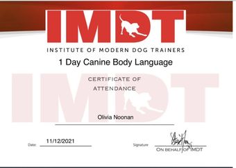 Institute of Modern Dog Trainers certificate for canine body language completed by Muddy Paws Adventures in Neston