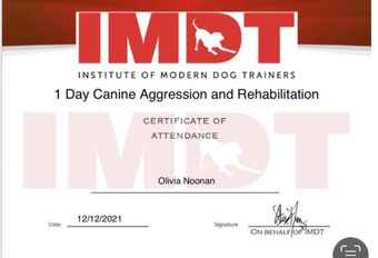 Institute of Modern Dog Trainers certificate for canine aggression and rehabilitation completed by Muddy Paws Adventures in Neston