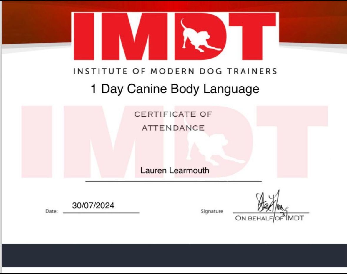 Institute of Modern dog trainers certificate for canine body language completed by Muddy Paws Adventures team member