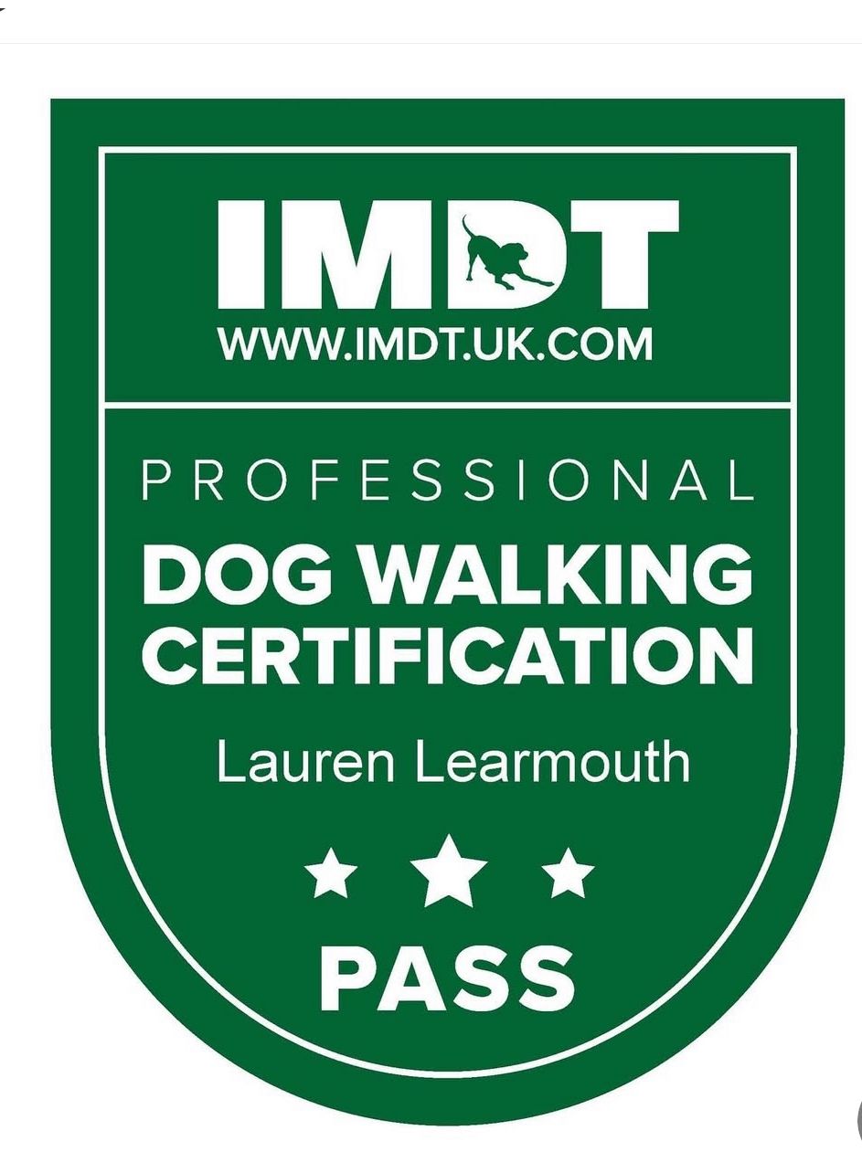 Institute of Modern Dog Trainers