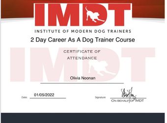 Institute of Modern Dog Trainers certificate for career as a Dog Trainer course completed by Muddy Paws Adventures in Neston