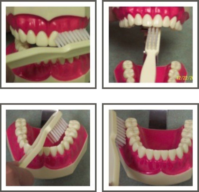 How to Brush Your Teeth