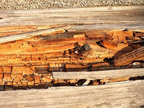 A close up of a piece of wood with nails in it.