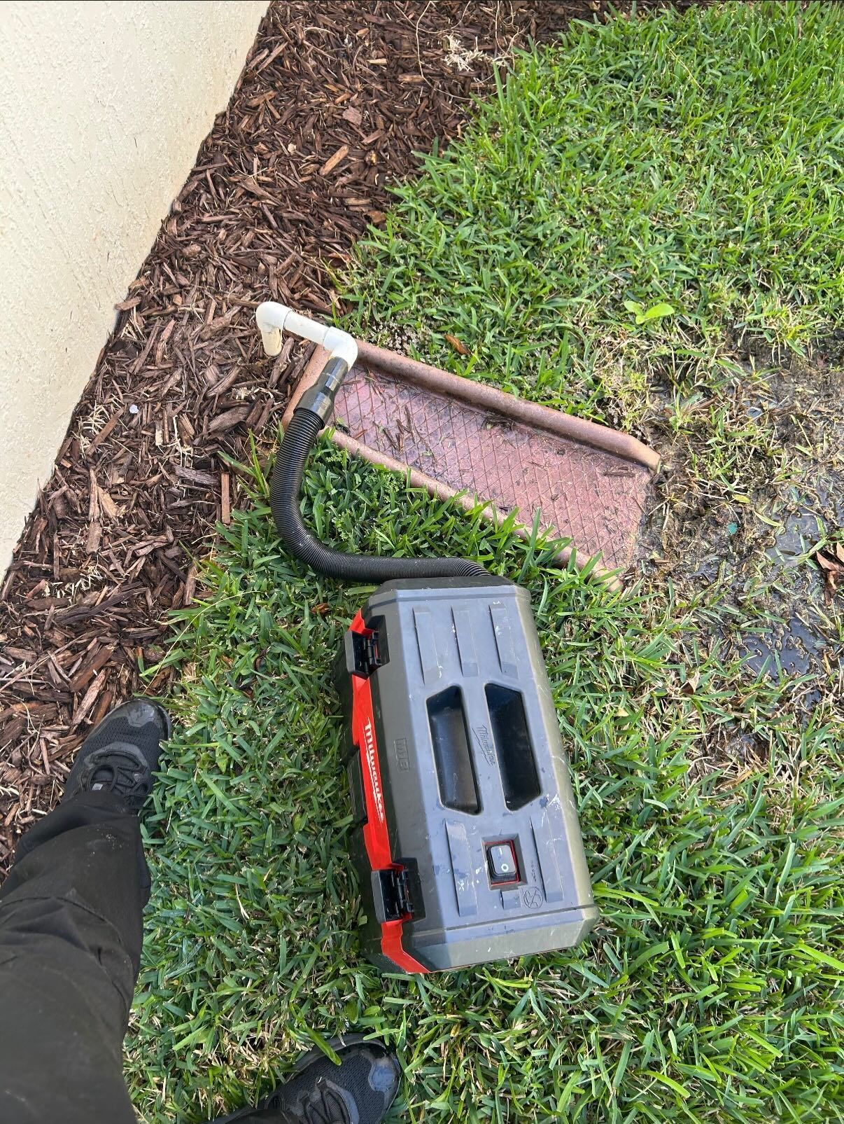 A gray portable shop vacuum with a black hose connected to a PVC pipe sticking out of the ground near a house.