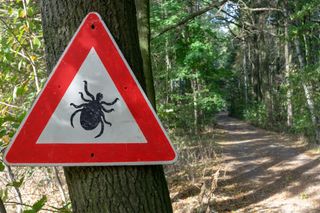 Pest Control Inspection — Cary, NC — Booth Exterminating Company Inc.