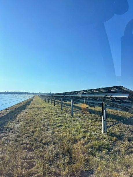 Man in orange hardhat inspects solar panels at a solar farm on a sunny day.