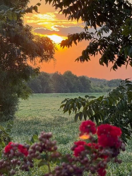 Two men in hard hats examining blueprints near solar panels.